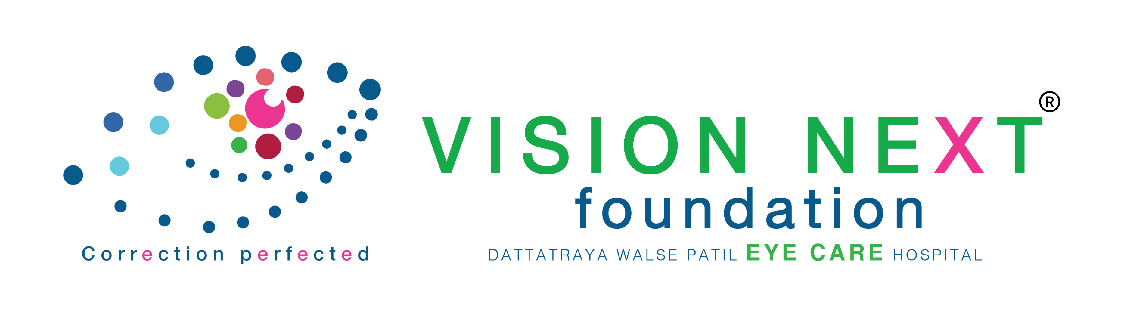 Vision Next Foundation